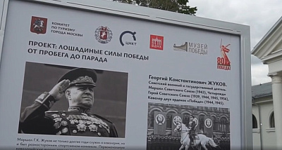 История коня маршала Жукова. Парад Победы 1945 г. Как лошади помогали на фронте в годы ВОВ