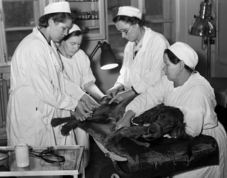 ИТОГИ ВОЕННЫХ ЛЕТ: ПОДГОТОВКА КАДРОВ И НАГРАДЫ