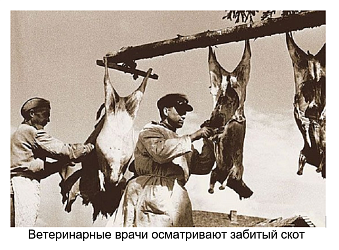 ЗАДАЧИ И ОРГАНИЗАЦИЯ ВОЕННО-ВЕТЕРИНАРНОЙ СЛУЖБЫ