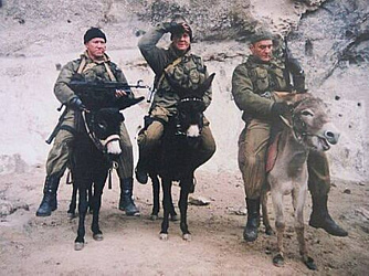 Био-логистика: почему ослы и мулы остаются стратегическим резервом спецслужб в эпоху высоких технологий