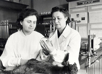 «Формула жизни»: Как советская наука вернула с того света 9 из 10 раненых