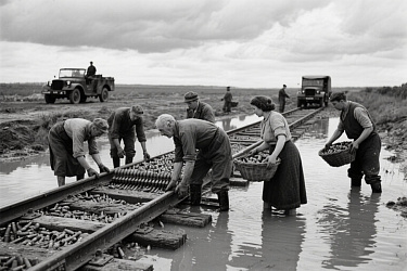 Железная дорога из ракушек: Гениальный прорыв, который спас тысячи жизней