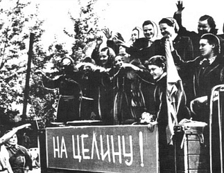 Целина – подвиг, который научил страну иначе смотреть на землю