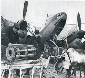 «Оленная армия» Заполярья: забытый подвиг, ставший уроком стратегической адаптивности